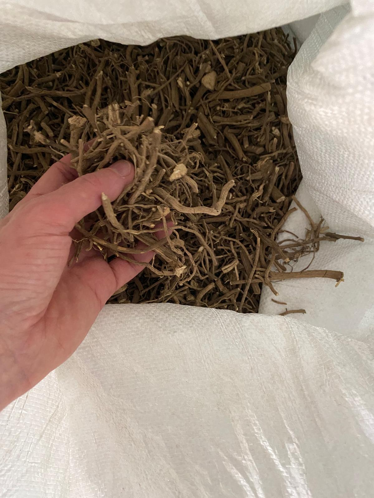 Selected dried kava roots graded by hand prior to coconut-base extraction